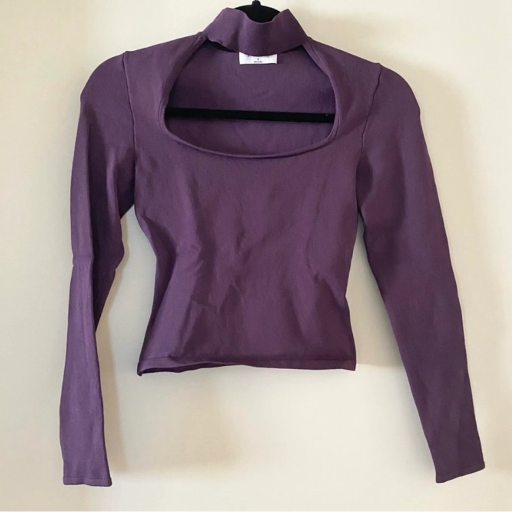 Babaton by Aritiza - Cut out cropped mock neck - purple